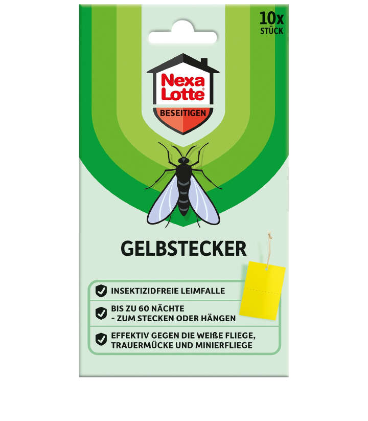 NEXA-LOTTE Gelbstecker